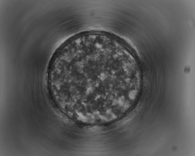 X0000102040879200808081832