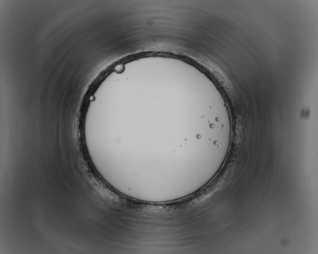 X0000102040880200808081832