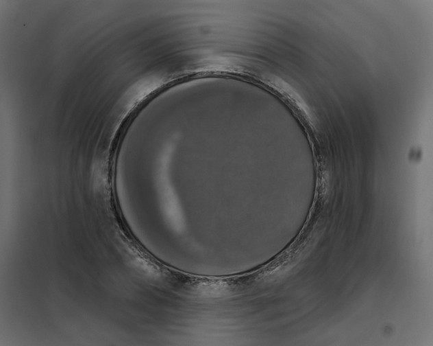 X0000102040882200808081832