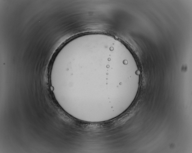 X0000102040883200808081832