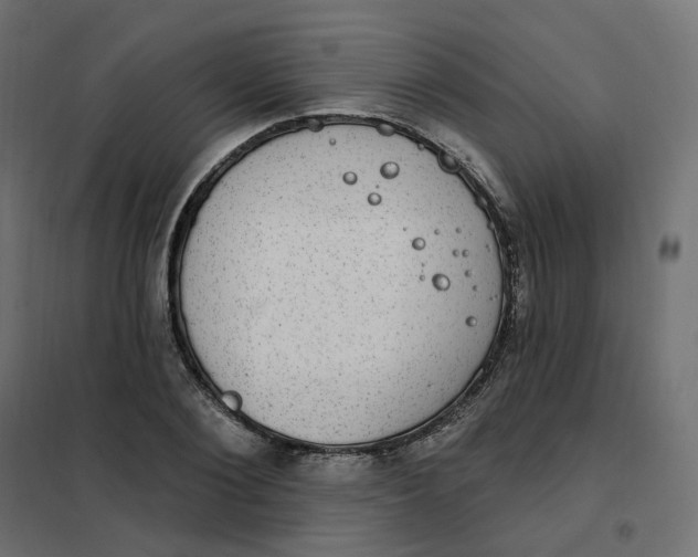 X0000102040884200808081832