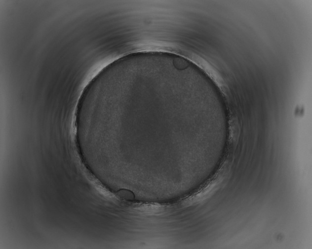 X0000102040885200808081832