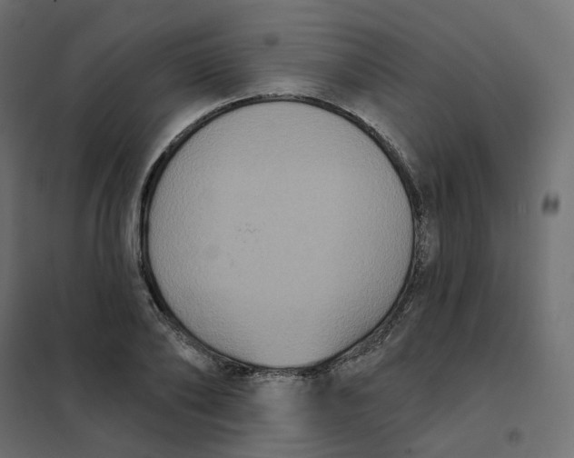 X0000102040886200808081832