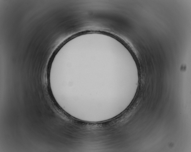 X0000102040887200808081832