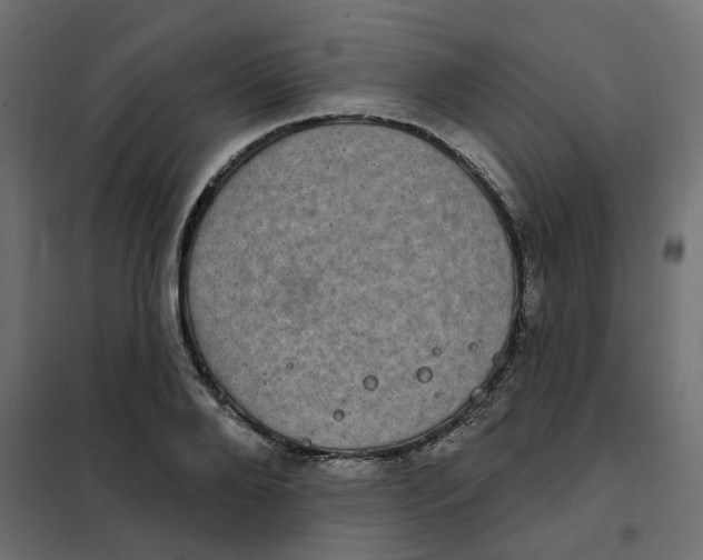 X0000102040888200808081832