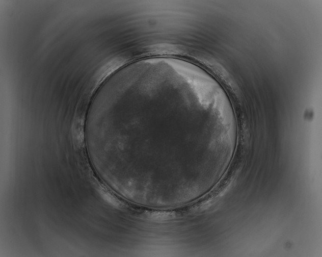 X0000102040889200808081832