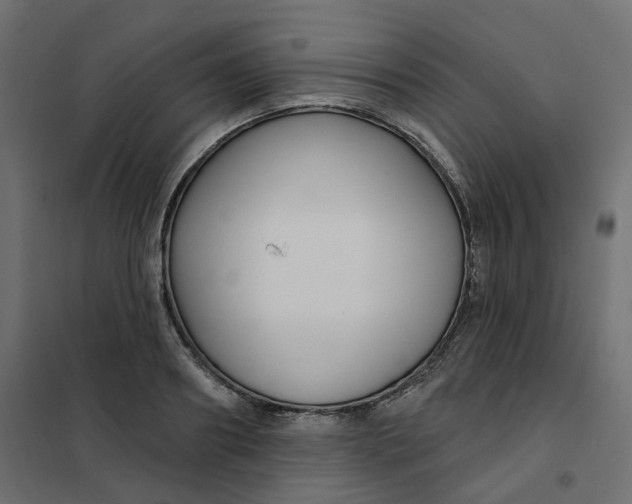 X0000102040890200808081832