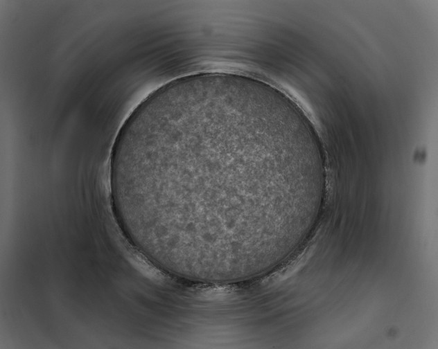 X0000102040891200808081832