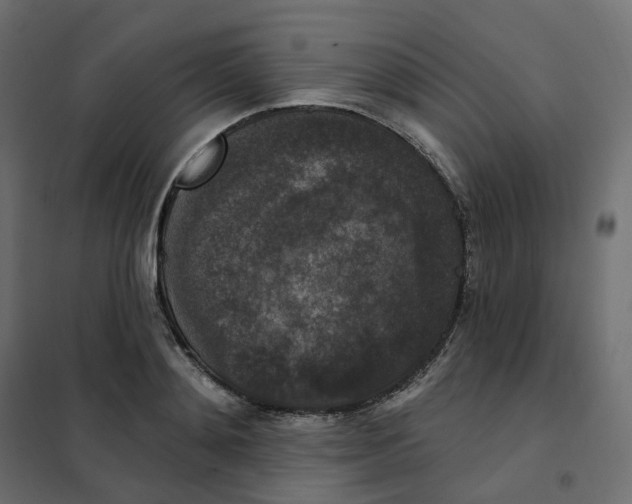 X0000102040892200808081832