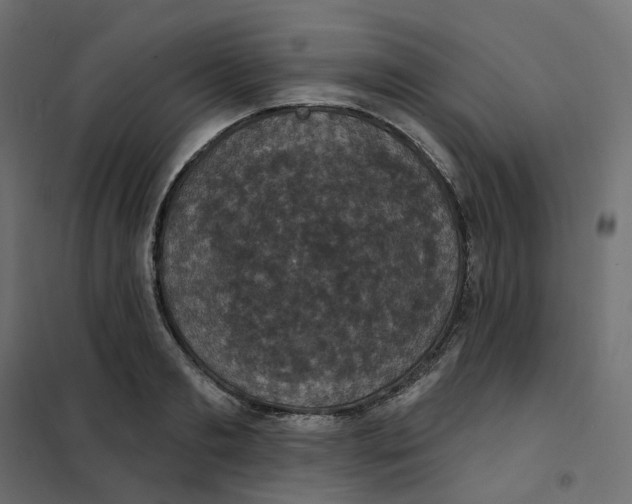 X0000102040893200808081832