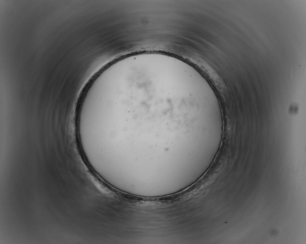 X0000102040894200808081832