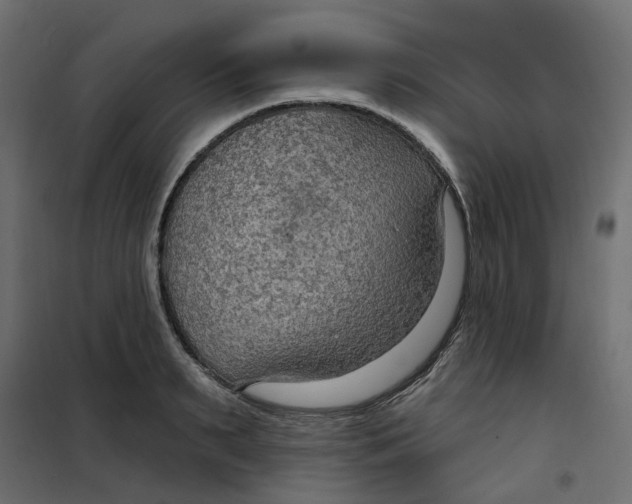 X0000102040895200808081832