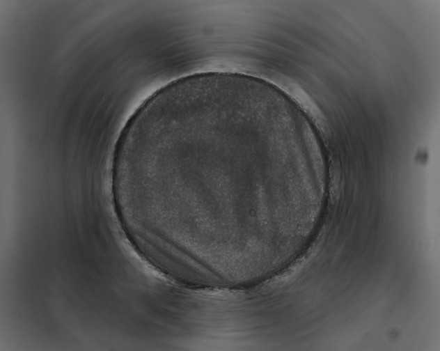 X0000102040896200808081832