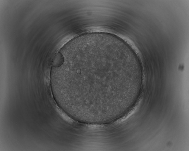 X0000102040897200808081832