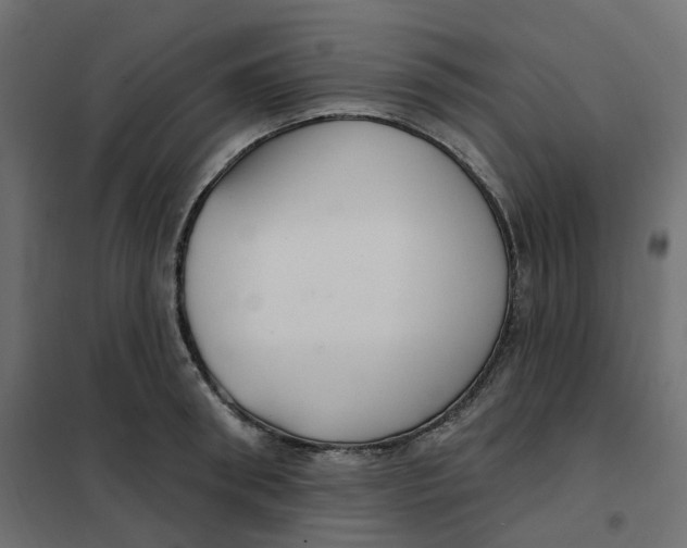 X0000102040898200808081832