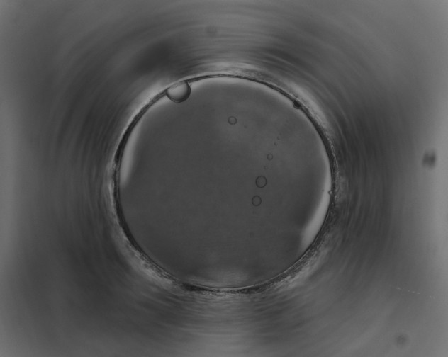 X0000102040899200808081832