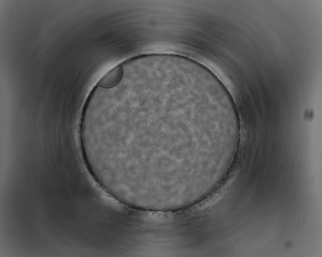 X0000102040901200808081832