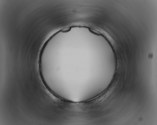 X0000102040902200808081832