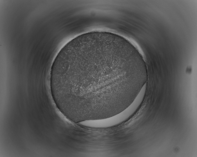 X0000102040903200808081832