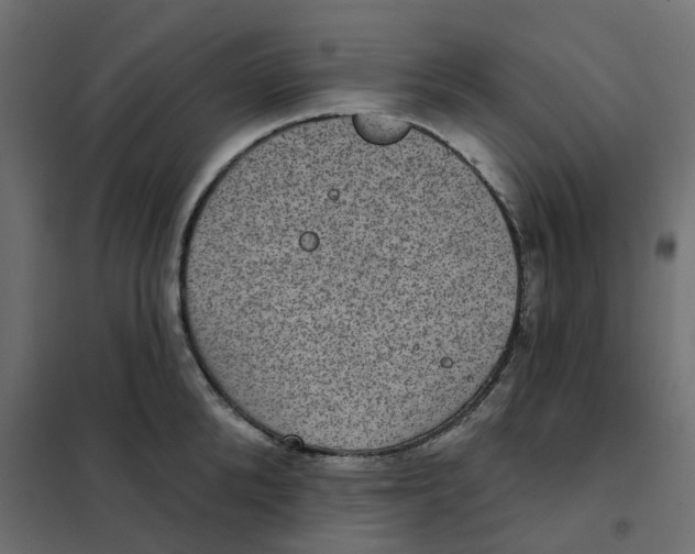 X0000102040904200808081832