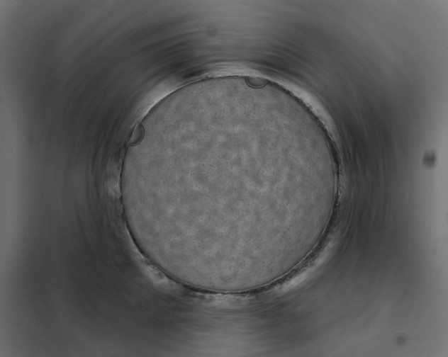 X0000102040905200808081832