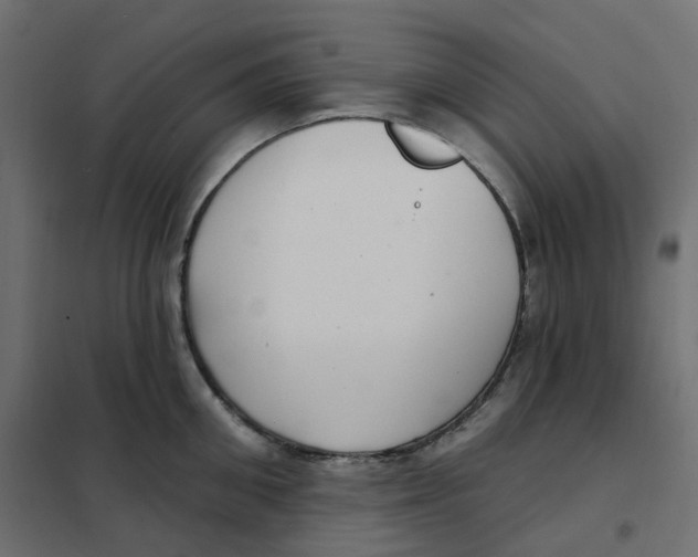 X0000102040906200808081832