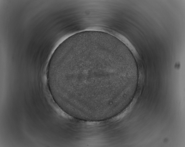 X0000102040908200808081832