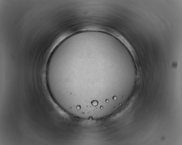 X0000102040909200808081832