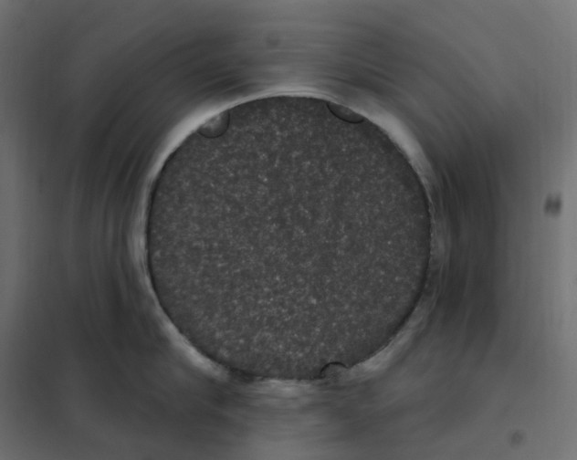 X0000102040910200808081832