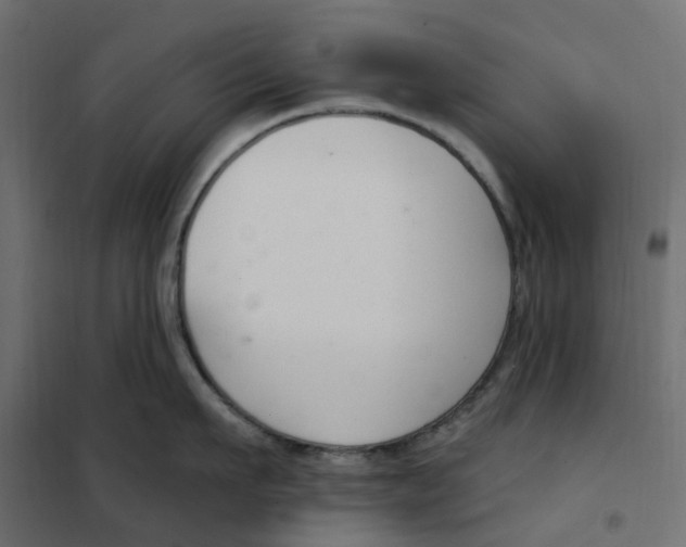 X0000102040911200808081832