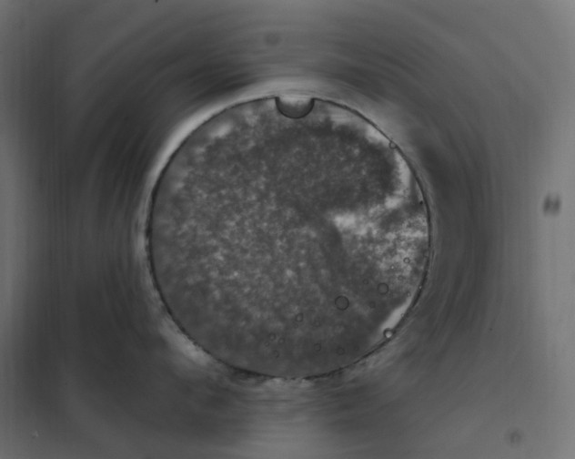 X0000102040912200808081832