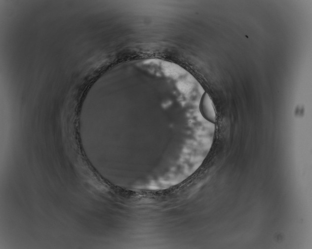 X0000102040913200808081831