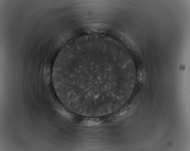 X0000102040915200808081831