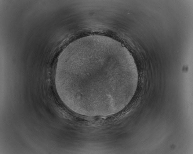 X0000102040916200808081831