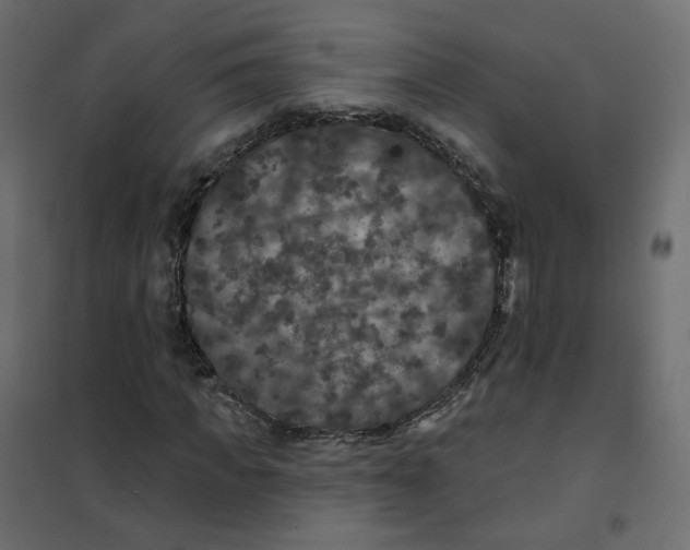 X0000102040917200808081831