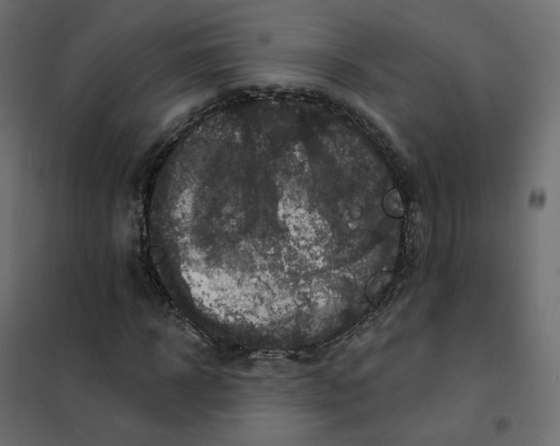 X0000102040918200808081831