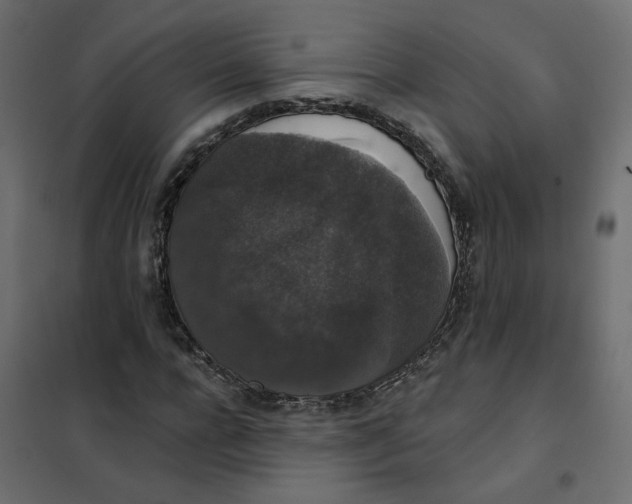 X0000102040920200808081831