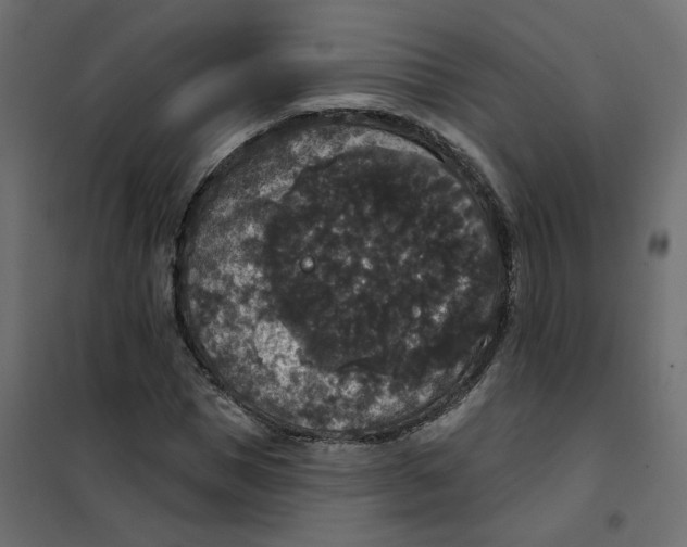 X0000102040921200808081831