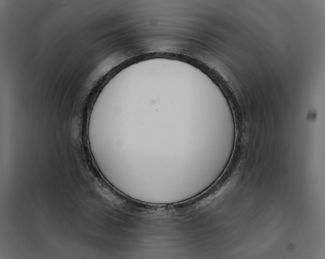 X0000102040922200808081831