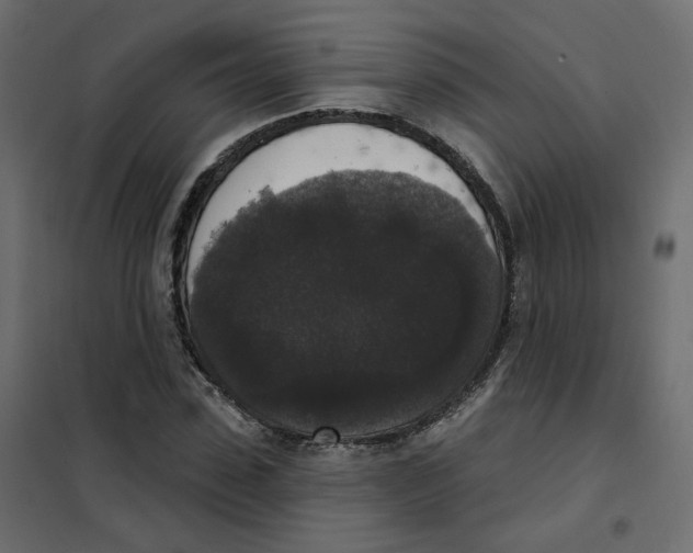 X0000102040923200808081831