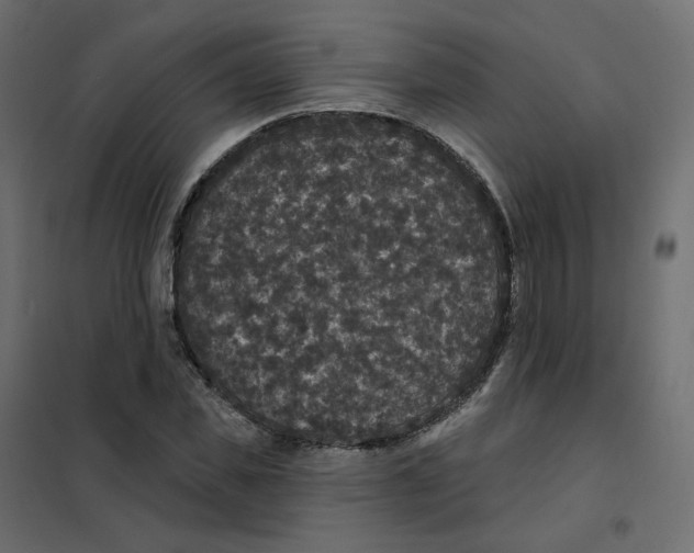 X0000102040925200808081831