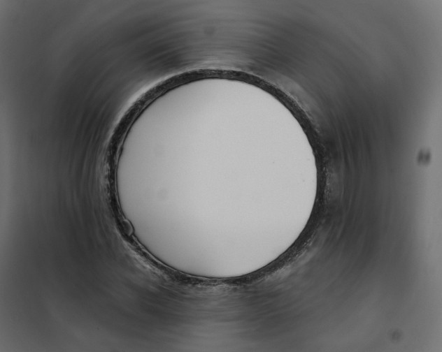 X0000102040926200808081831