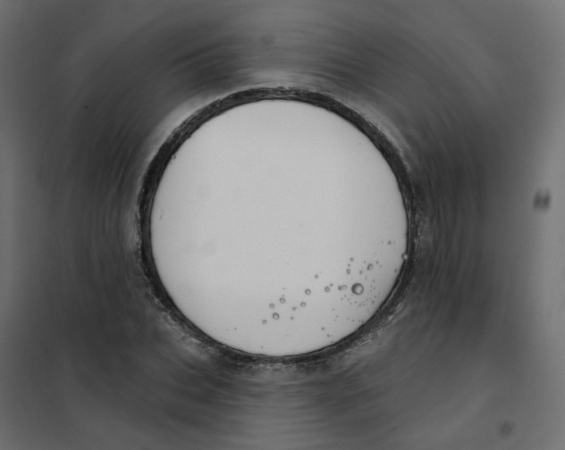 X0000102040927200808081831