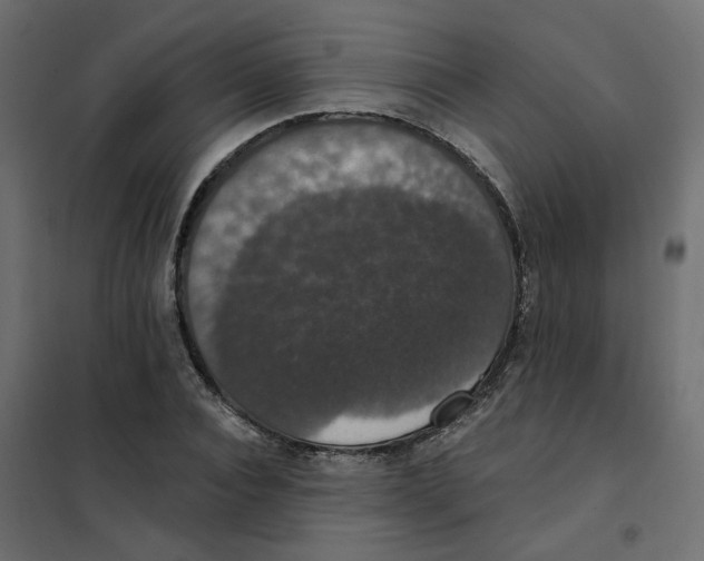 X0000102040928200808081831