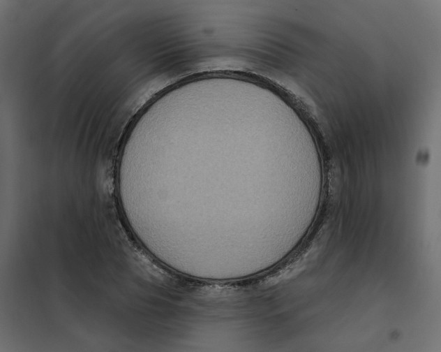 X0000102040929200808081831