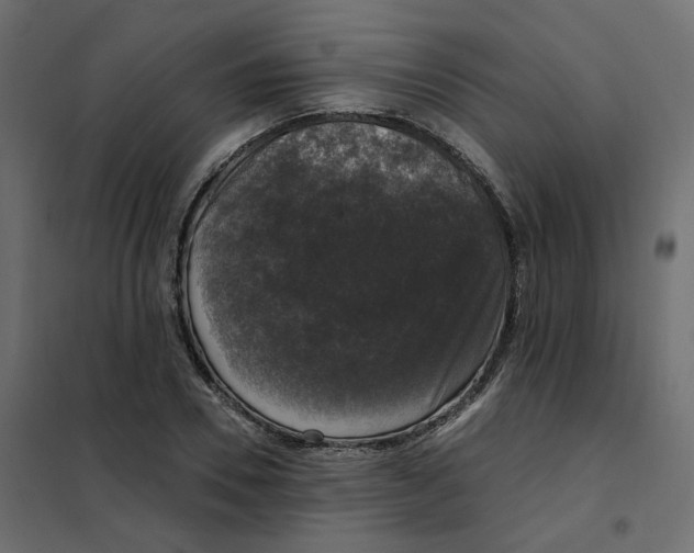 X0000102040930200808081831