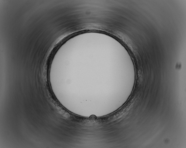 X0000102040931200808081831