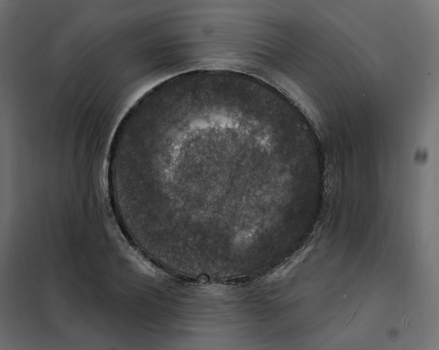 X0000102040932200808081831