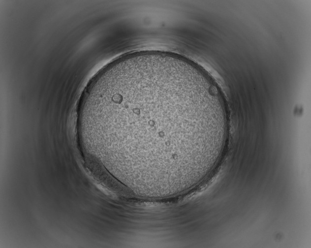 X0000102040933200808081831