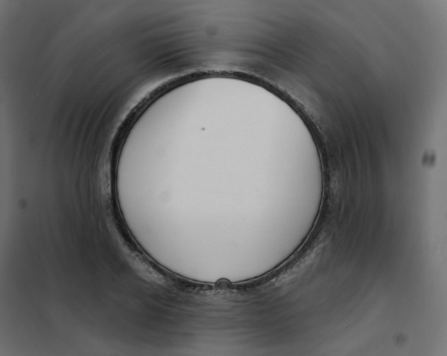 X0000102040934200808081831